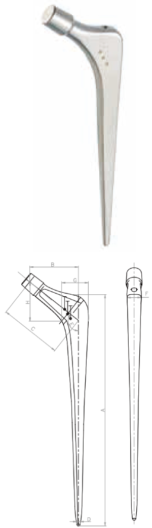 MH Cemented Stem-Settlement Blueprint
