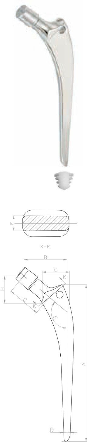 Cemented Stem-Wedge Shaped Blueprint
