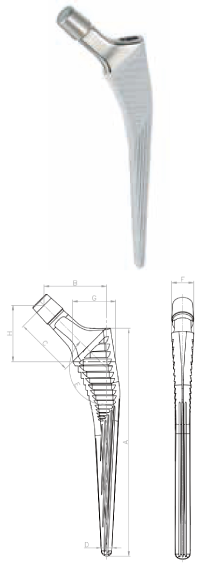 NEOS Primary Stem Blueprint