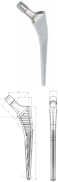 NEOS Primary Stem Blueprint