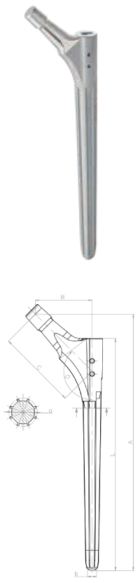 NEOS Revision Stem Blueprint