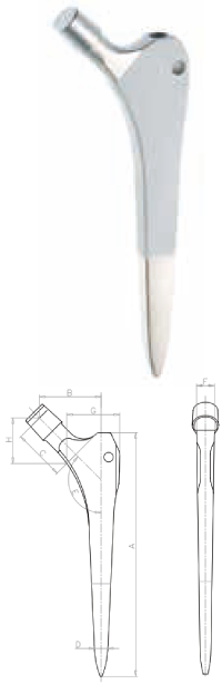 Wedge-shaped Stem Blueprint
