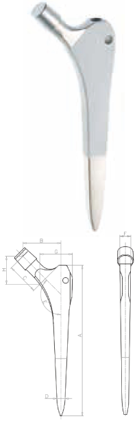 Wedge-shaped Stem