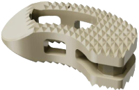 Thoraco-Lumbar Cage I (Sterile)