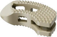 Thoraco-Lumbar Cage I (Sterile)