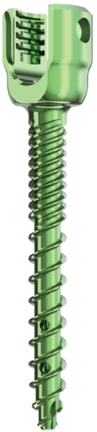 Monoaxial Pedicle Screw