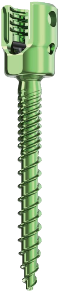 Polyaxial Pedicle Screw