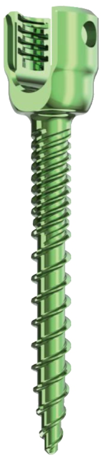 Monoaxial Pedicle Screw (Dual)