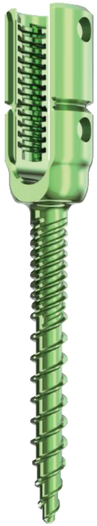 Monoaxial Reduction Screw (Dual)