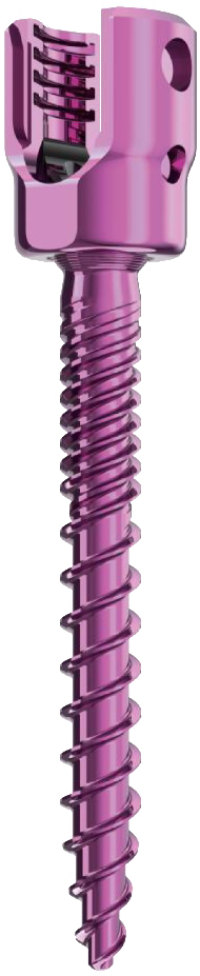 Polyaxial Pedicle Screw (Dual)