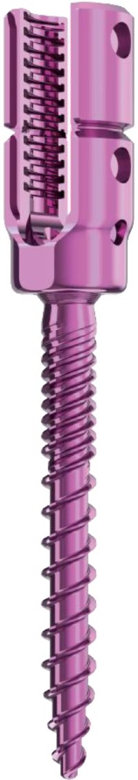 Polyaxial Reduction Screw (Dual)