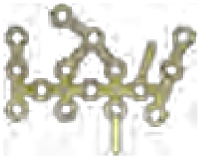 Fibula