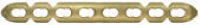 Anterior Plate