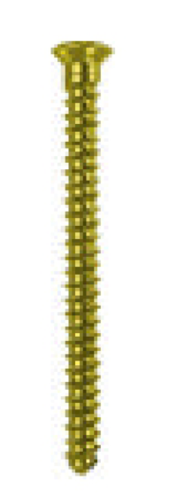 2.0mm Cortical Screw