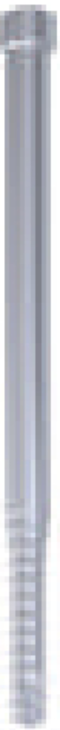 Femoral Lag Screw