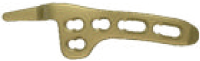Hook Plate 15