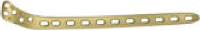 LISS Proximal Tibial Plate