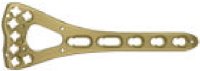 Type B Plate