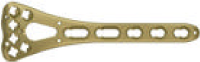 Type M Plate