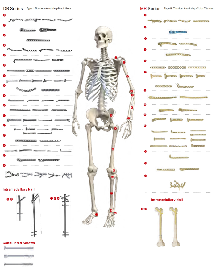OSTO Skeleton Mapping