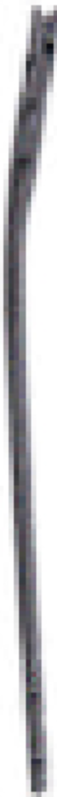 Tibial Nail, Cannulated