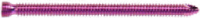 VA Locking Screw Purple